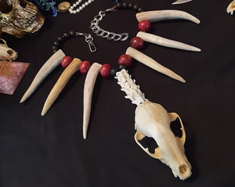 Roter Schädel Halskette, Waschbär Schädel Halskette, Geweih Halskette, Knochen Halskette, Schädel Anhänger, Knochenschmuck, echter Schädel, Schamane Halskette