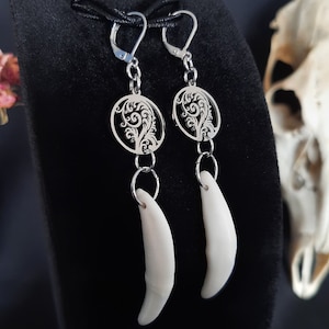 Coyote Tooth Earrings, Bone Earrings, Witch Earrings, Gothic Earrings, Fang Earrings, Tooth Earrings, Bone jewelry, Wiccan Earrings