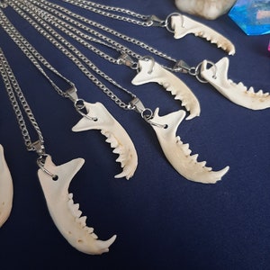 Puede incluir: Un conjunto de siete collares de cadena plateada con colgantes de mand&iacute;bula de hueso. Los colgantes son de diferentes tama&ntilde;os y formas, pero todos tienen el mismo dise&ntilde;o b&aacute;sico. Los collares est&aacute;n colgados de una superficie azul oscuro.