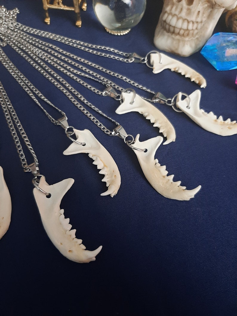 Puede incluir: Un conjunto de siete collares de cadena plateada con colgantes de mand&iacute;bula de hueso. Los colgantes son de diferentes tama&ntilde;os y formas, pero todos tienen el mismo dise&ntilde;o b&aacute;sico. Los collares est&aacute;n colgados de una superficie azul oscuro.