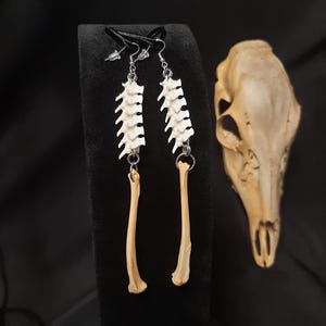 Squirrel Tibia Bone Earrings, Snake Bone Earrings, Bone Jewelry, Real Rattlesnake Vertebrae Earrings, Gothic, Witch Earrings, Shaman