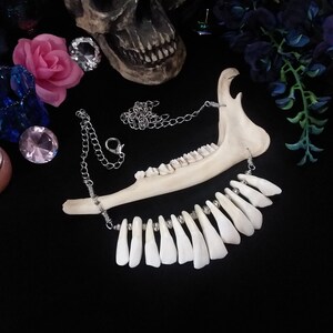Buffalo Tooth Necklace, Tooth Necklace, Bone Necklace, Bone Jewelry, Jawbone Necklace, Shaman Necklace, Shaman Jewelry, Gothic Necklace