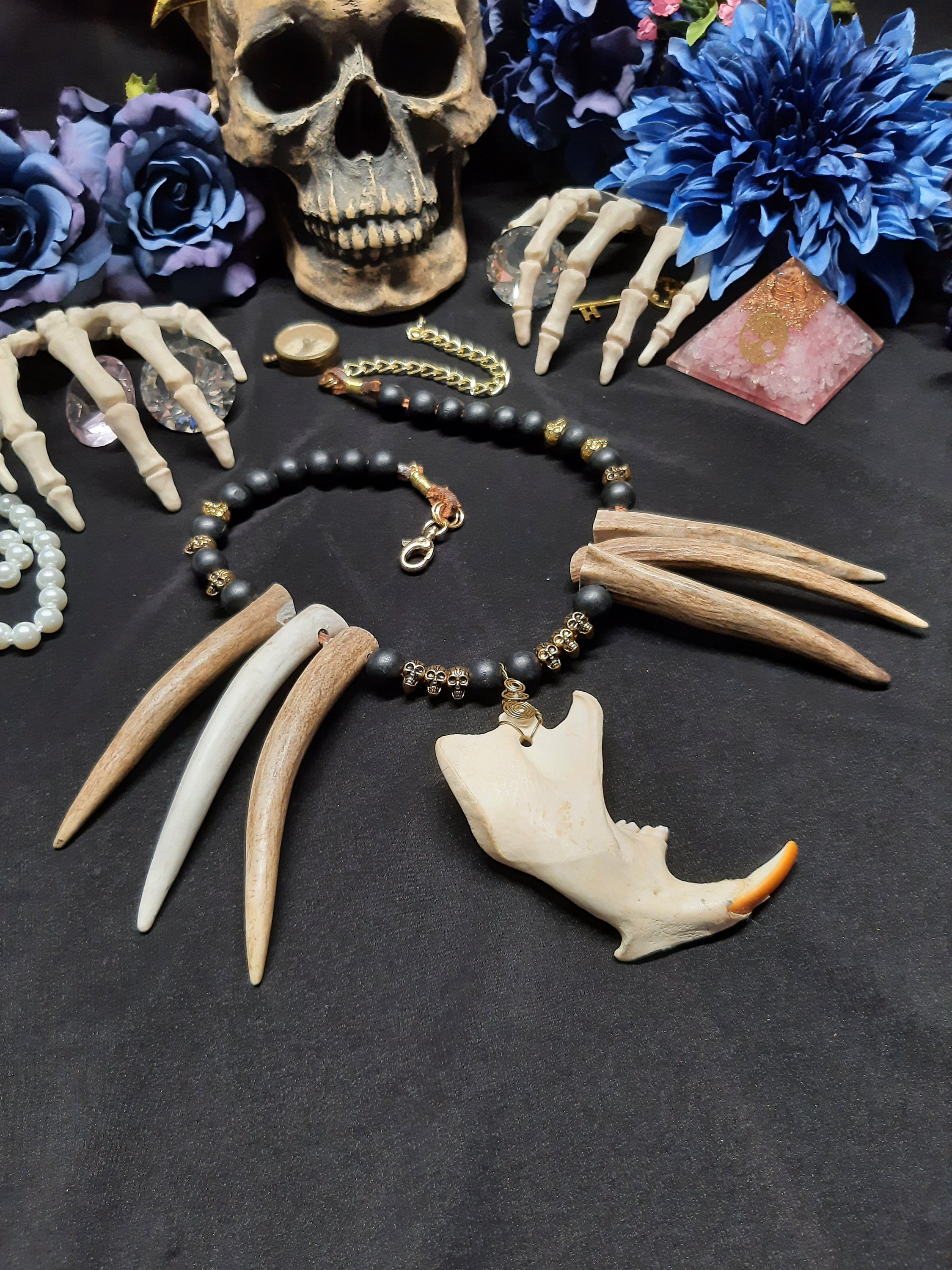 Jaw Bone Necklace, Beaver Bone, Bone Jewelry, Antler Necklace