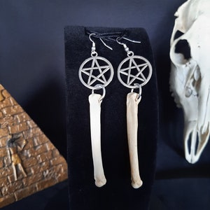 Coyote Bone Earrings, Bone Earrings, Pentagram Earrings, Real Animal Bones, Bone Jewelry, Bone, Gothic Earrings, Witch Earrings, Goth