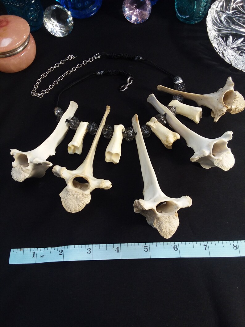 Bone Necklace Bone Jewelry Real Bone Jewelry Shaman Etsy