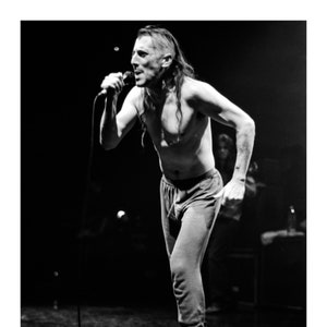 1993 Maynard James Keenan Tool High Quality Fine Art Archival Photo Paper Picture Print Sizes 8x10 to 30x40