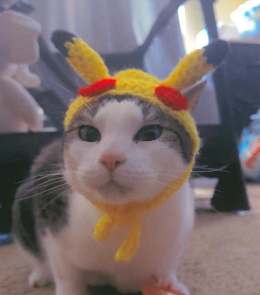 Pikachu Cat Costume Etsy