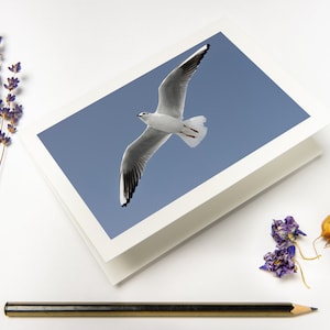 Wenskaart "Flying Seagull" met gerecyclede enveloppen//Bird Fine Art Photography Print | Sympathie gevouwen kaart op milieuvriendelijk papier