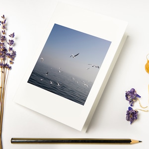 Ensemble de cartes de voeux « Mouettes en mer » avec enveloppes recyclées // Photographies d'art côtières | Carte de sympathie pliée sur papier respectueux de l'environnement