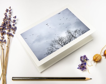Condolence Card "Birds Before The Storm" with recycled envelopes // Fine Art Photography Print as Folded Greeting Card on eco-friendly paper