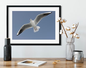 Plakat fotograficzny „Latająca mewa”: Nadmorski plakat artystyczny, bez ramki