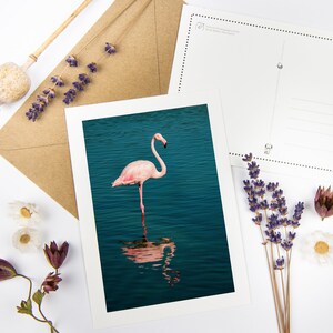 Conjunto de postales de flamencos "Lady In Pink" con sobres reciclados // Tarjeta de impresión de arte animal ecológica / Papelería de fotografía de bellas artes de vida silvestre