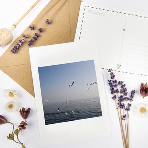 Set di cartoline "Gabbiani al mare" con buste riciclate // Biglietto di condoglianze ecologico / Fotografia artistica costiera / Cancelleria per uccelli
