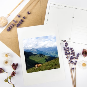 Lot de cartes postales « Veau sur une montagne » avec enveloppes recyclées // Cartes écologiques suisses | Papeterie photo fine art vache des Alpes suisses