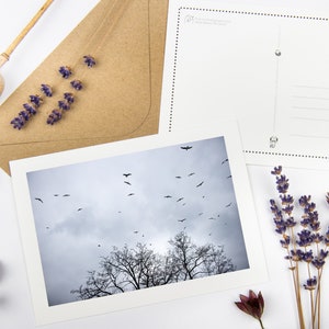 Set di cartoline "Uccelli prima della tempesta" con buste riciclate // Biglietto di condoglianze ecologico / Foto d'arte paesaggistica / Cancelleria naturale