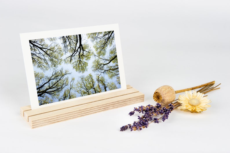 Minimal Card Holders Anna & Albert // 2 Row Wooden Photo Holder to display Postcards and Art Prints on a desk, side table or craft fair image 7