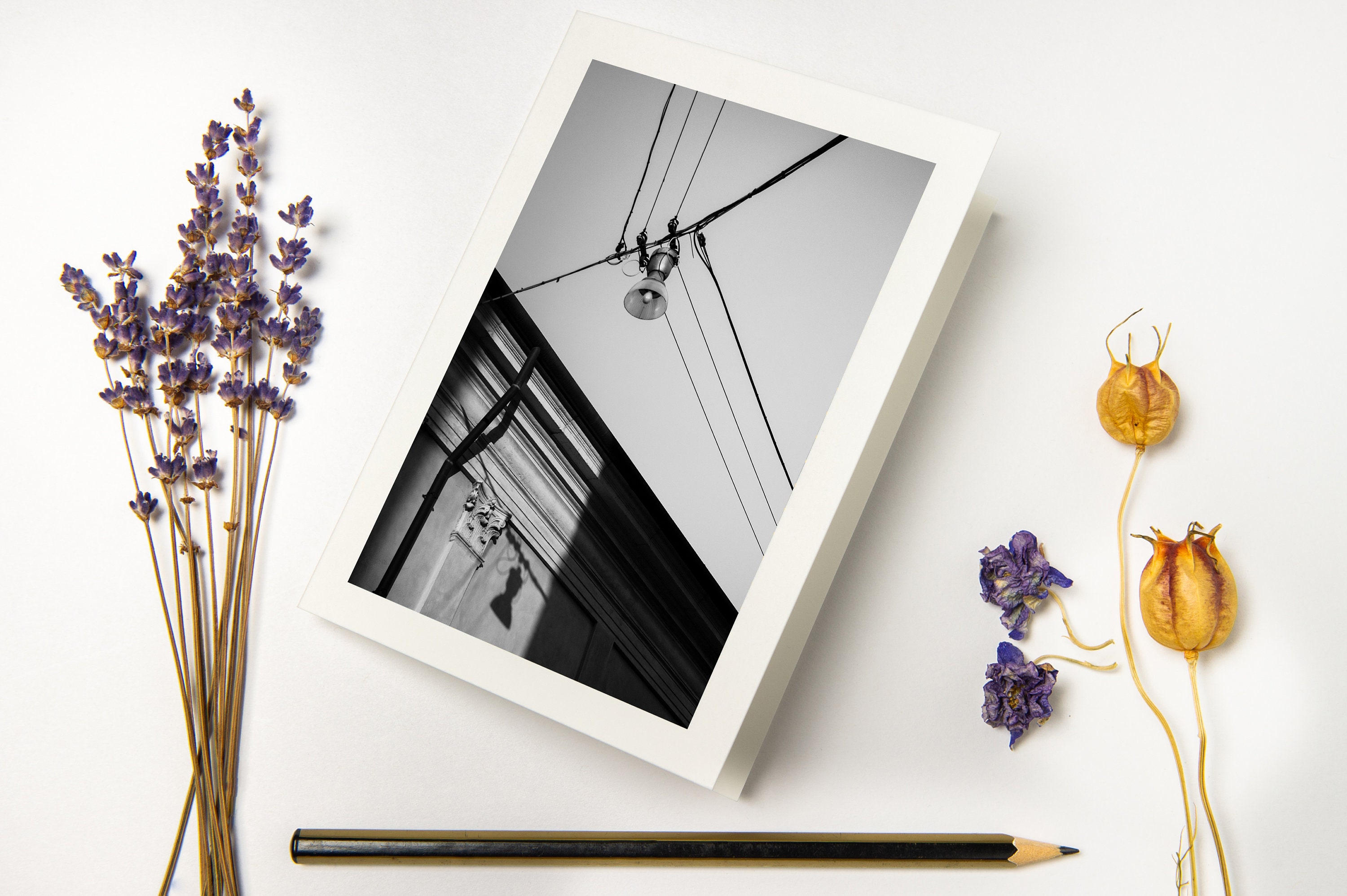 Greeting Card Set "Shadows Of Light" with recycled envelopes // Monochrome Fine Art Photo Print | Minimal Folded Card on eco-friendly paper