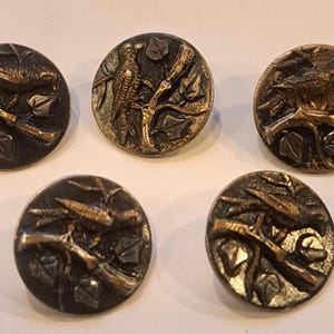Può includere: Cinque bottoni antichi in bronzo con un uccello posato su un ramo con foglie. I bottoni sono rotondi e presentano un design dettagliato in rilievo. L'uccello e il ramo sono di un colore bronzo più chiaro.