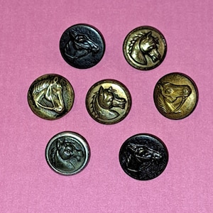 May include: Seven circular buttons arranged in a cluster, each featuring a raised relief design of a horse head. The buttons vary in color, including metallic gold, bronze, and black finishes, with detailed textures depicting the equine features.