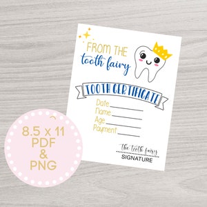 Tooth Fair Certificate, Printable tooth fairy certificate, From the Tooth Fairy