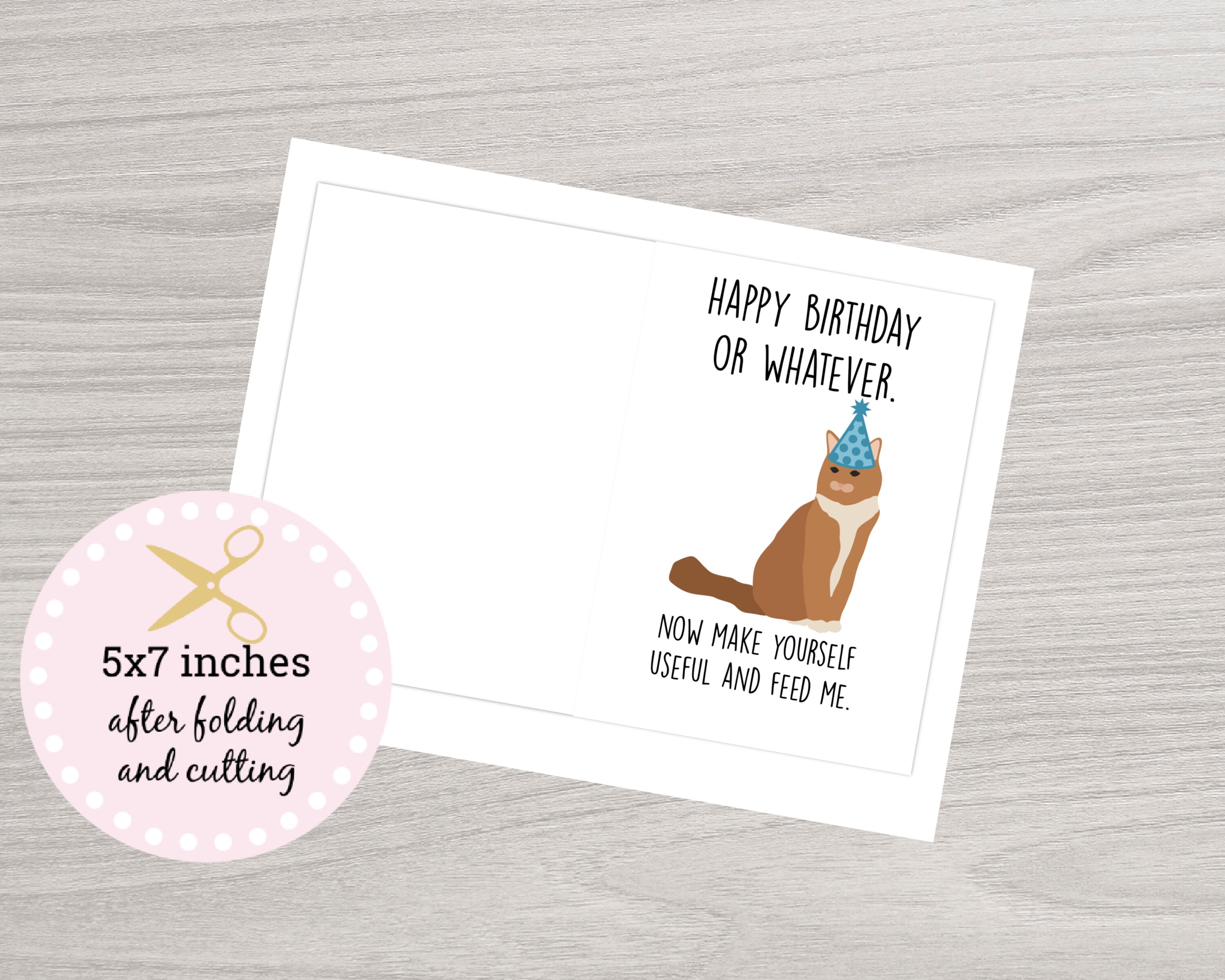 Funny Cat Birthday Card Birthday Printable Card Funny Cat | Etsy