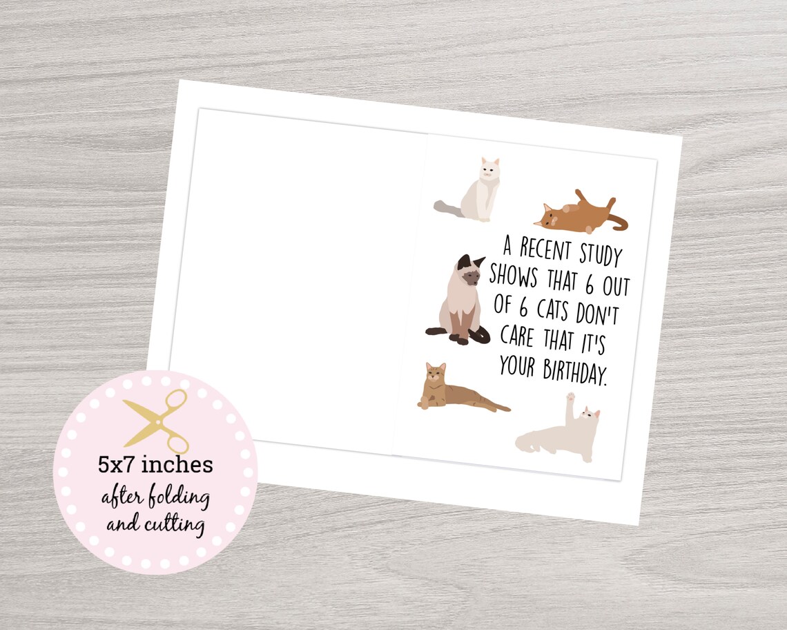 Funny Birthday Card Birthday Printable Card Funny Cat - Etsy