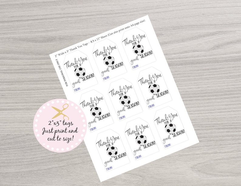 Soccer Printable Gift Tag, Thanks for a Great Season Favor Tag, End of Year, All Star, summer Tag Printable, Instant Download PDF JPG image 2