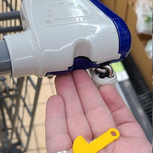 Removable Aldi Quarter Keychain