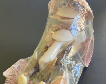 Vintage Frog Driving Car Made of Shells