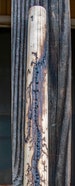 Solid Wood Lichtenburg Fractal Burned Staff / Baton Starter Sticks - Walking Cane Staves Dowels Closet Rods Wall Art Shower Curtain Rod 