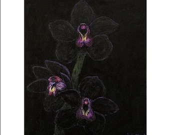 Black Orchid Print