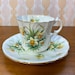 see more listings in the More Teacups section