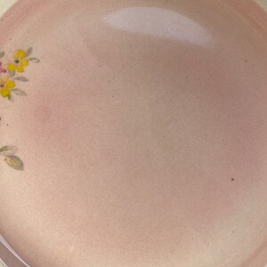 Royal Winton Apple Blossom Ceramic Plate, Pink White and Yellow Blossoms Wall Plate image 6