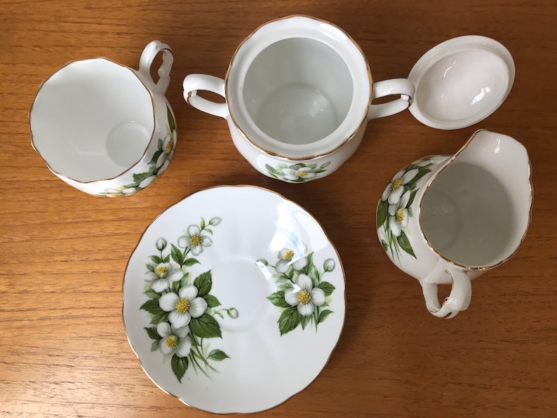 Colclough China Tea Set White Flower Teacup and Saucer Cream Etsy