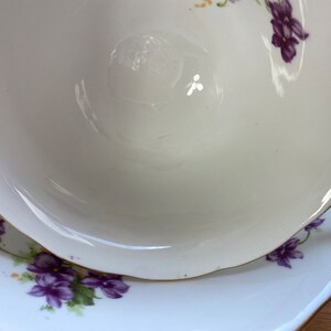 Radfords China Tea Cup and Saucer, Purple Violets Teacup and Saucer, English Bone China Flaws image 9