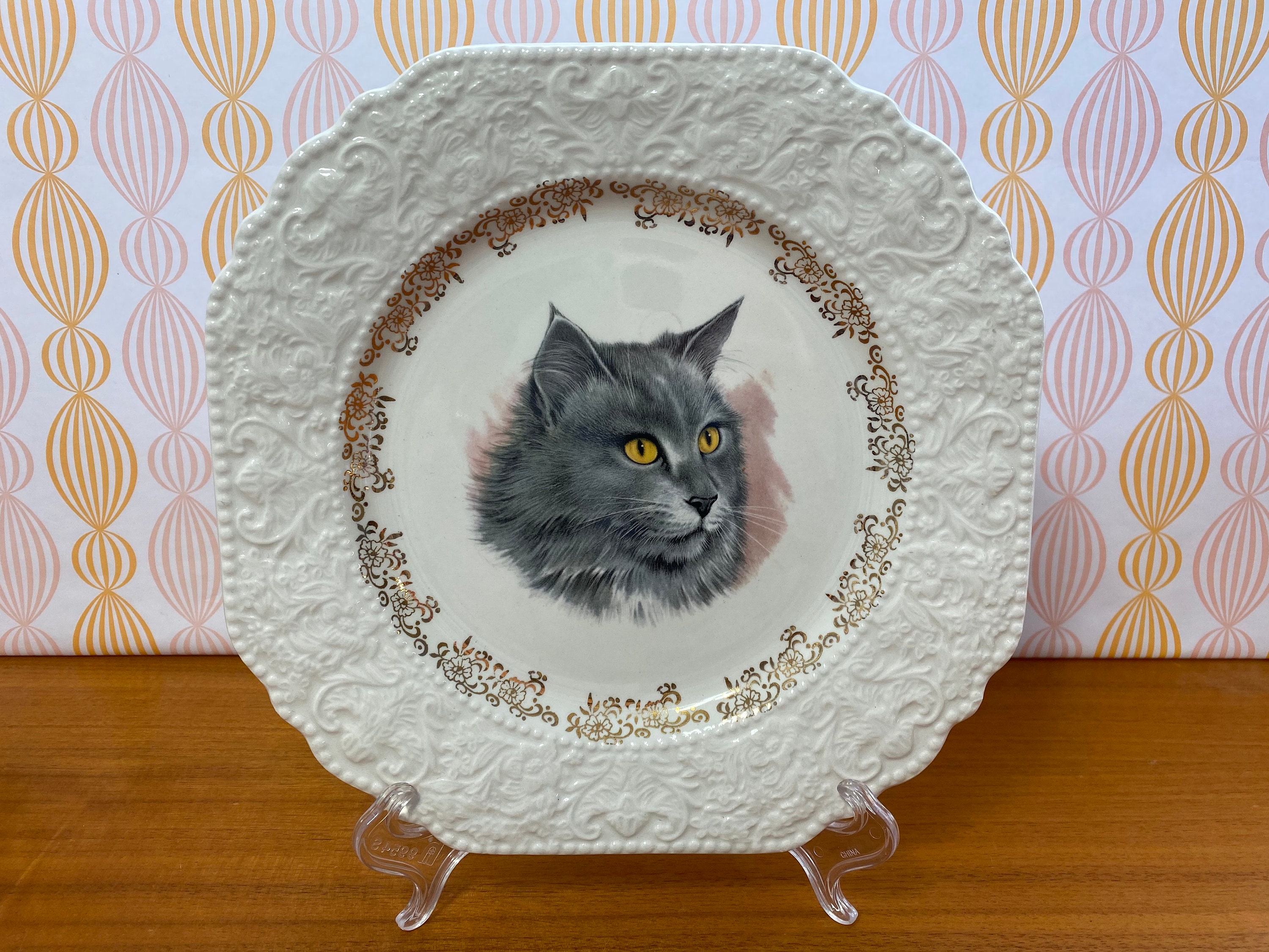 cat plate