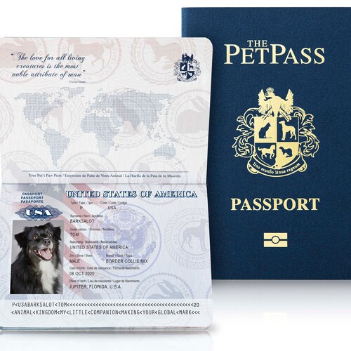 How To Get A Pet Passport For A Chihuahua In Philippines