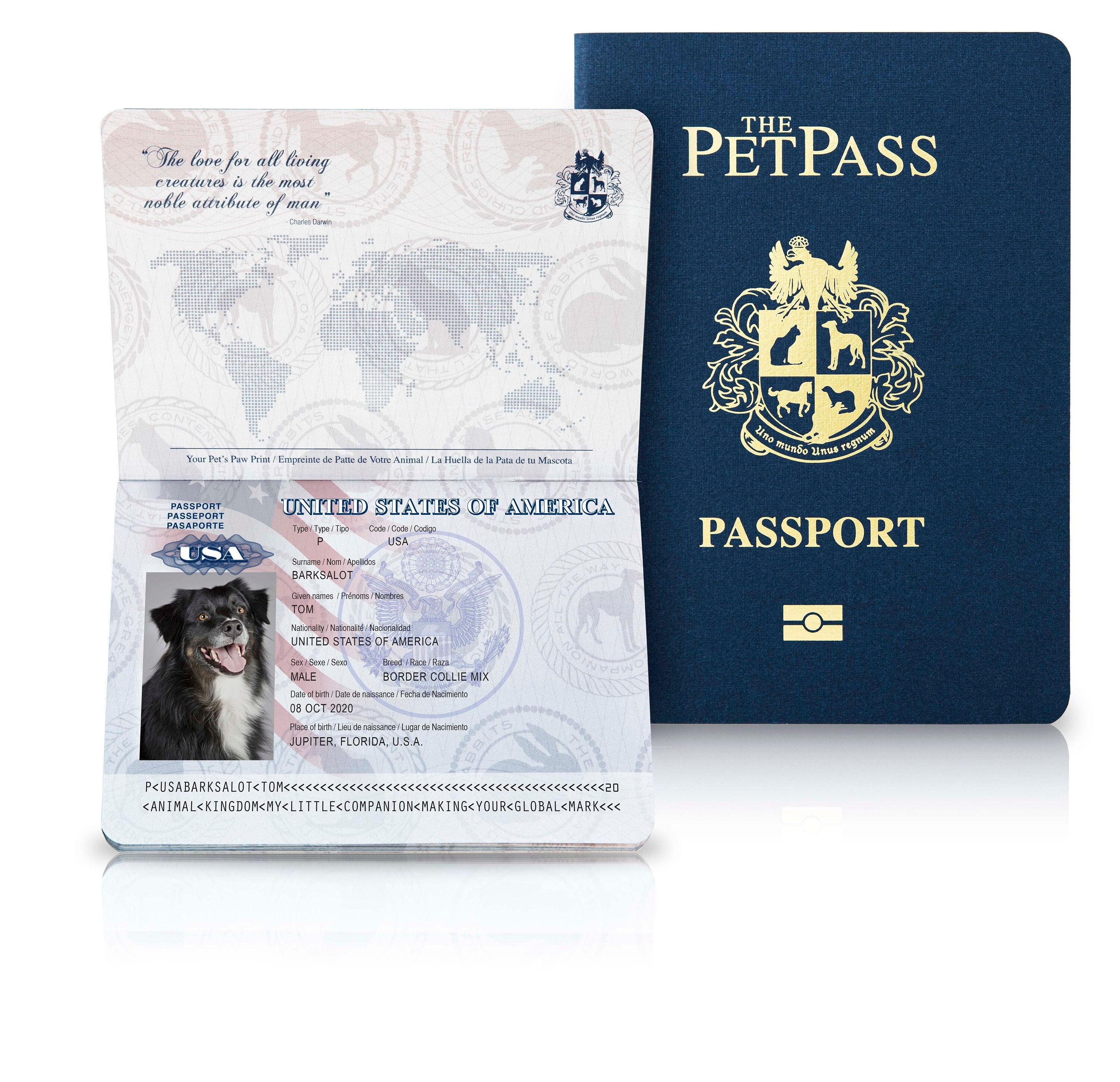 how to get a pet passport for a golden retriever in saint lucia