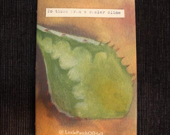 To those from a cooler clime- a zine on desert plants and survival