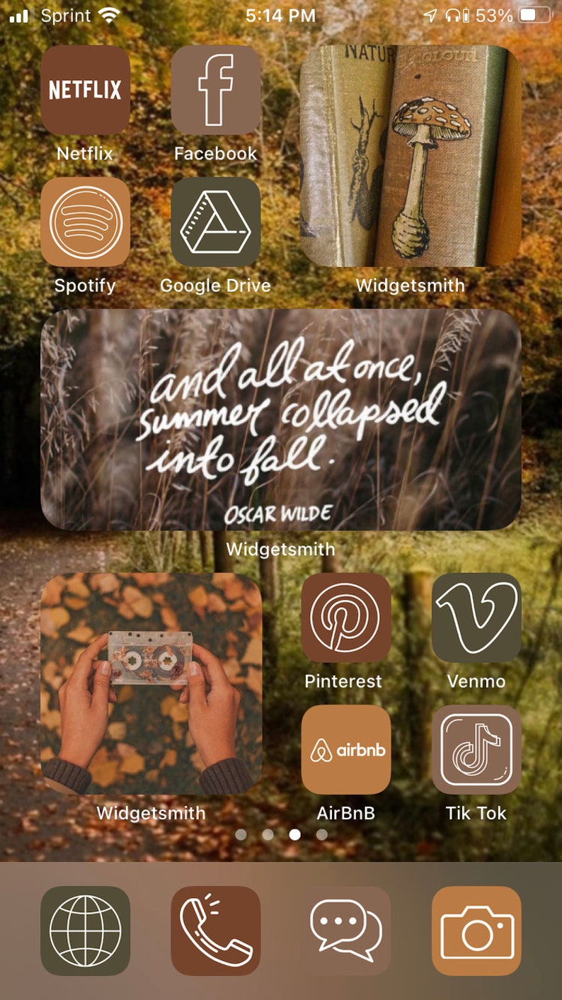 Fall Cottage Core Aesthetic IOS 14 Pack image 6