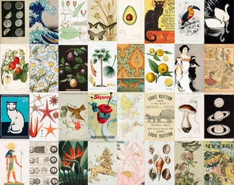 Vintage Art Print Collage Kit | Aesthetic Wall Decor (Digital Download)