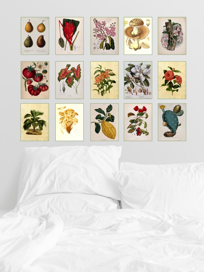 Digital Download Vintage Botanical Collage Kit | Printable Art ...