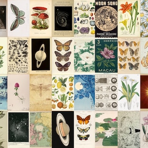 Vintage Cottage Core Aesthetic Collage Kit | Digital Download | 75 photos