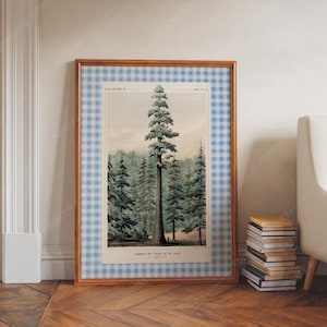 Peut inclure: Une illustration botanique vintage d'un séquoia géant, également appelé arbre mammouth, dans un environnement forestier. L'illustration est encadrée d'une bordure vichy bleu et blanc. Le texte sous l'image indique "Mammoth Tree, the Beauty of the Forest."