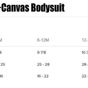 May include: Size guide for Bella+Canvas bodysuits in US sizes. The chart shows body width, baby length, and baby weight in inches and pounds for sizes 3-6 months, 6-12 months, 12-18 months, and 18-24 months.