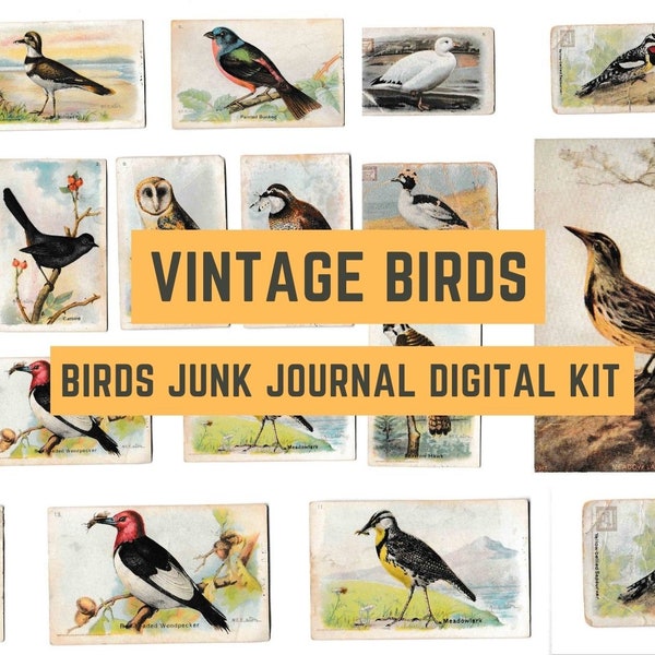 Vintage Birds Printable Digital Kit - Instant Download