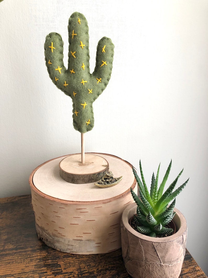 Cactus Stand Table Top Decor Natural Colors Bohemian Desert Etsy