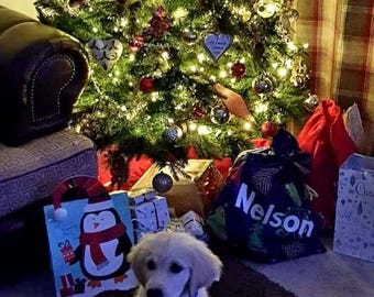 Personalised Christmas Bag Xmas Trees Blue Santa Sack Personalised