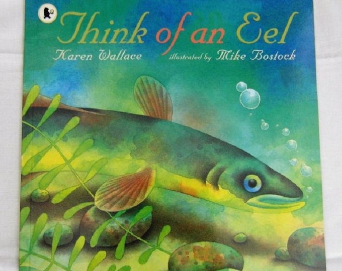 Think of an Eel by Karen Wallace New Paperback book Childrens NON Fiction Picture Book Lifecycle