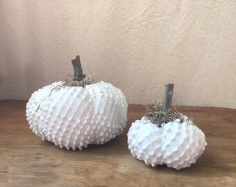 white pumpkin decor | autumn decorations | fall table decor | thanksgiving decor